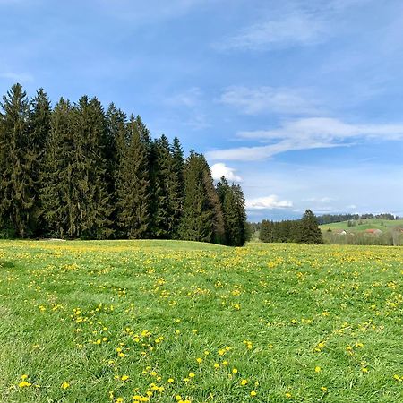 Lindners Hideaways - Bergnest Lodge - Bergblick Fewo 6 Pers Balkon Garten Hund Ski Unterkunft Luftkurort Oberreute Naehe Buchenegger Wasserfaelle Eistobel Bodensee Extérieur photo