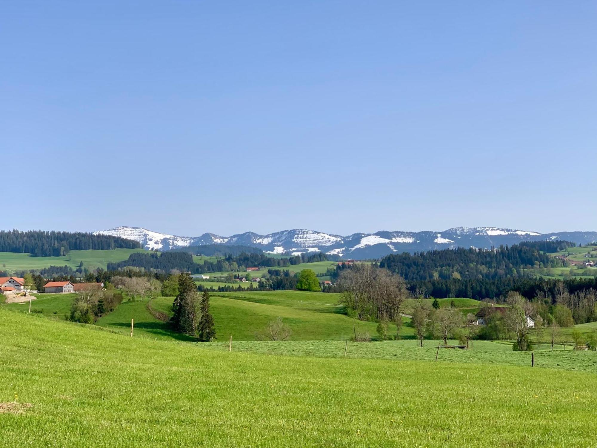 Lindners Hideaways - Bergnest Lodge - Bergblick Fewo 6 Pers Balkon Garten Hund Ski Unterkunft Luftkurort Oberreute Naehe Buchenegger Wasserfaelle Eistobel Bodensee Extérieur photo