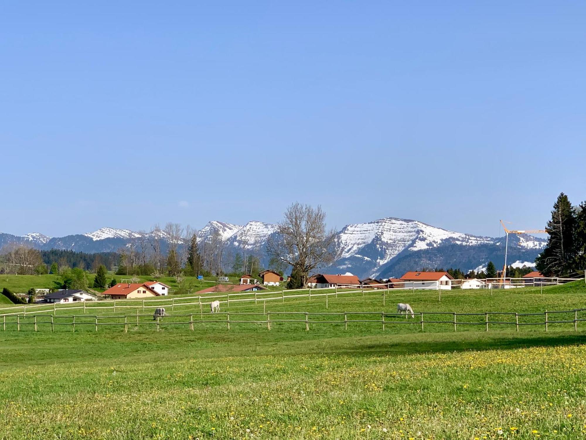 Lindners Hideaways - Bergnest Lodge - Bergblick Fewo 6 Pers Balkon Garten Hund Ski Unterkunft Luftkurort Oberreute Naehe Buchenegger Wasserfaelle Eistobel Bodensee Extérieur photo