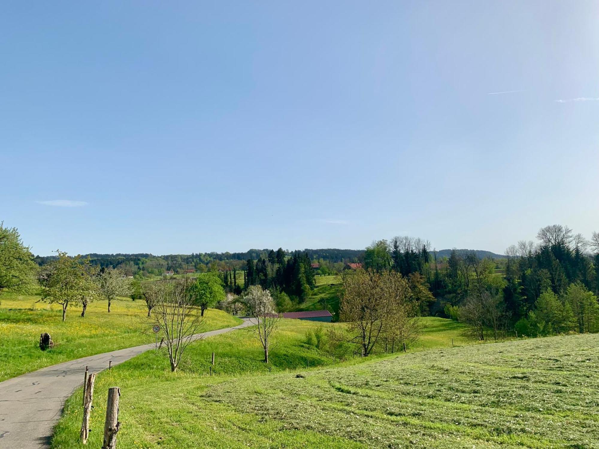 Lindners Hideaways - Bergnest Lodge - Bergblick Fewo 6 Pers Balkon Garten Hund Ski Unterkunft Luftkurort Oberreute Naehe Buchenegger Wasserfaelle Eistobel Bodensee Extérieur photo