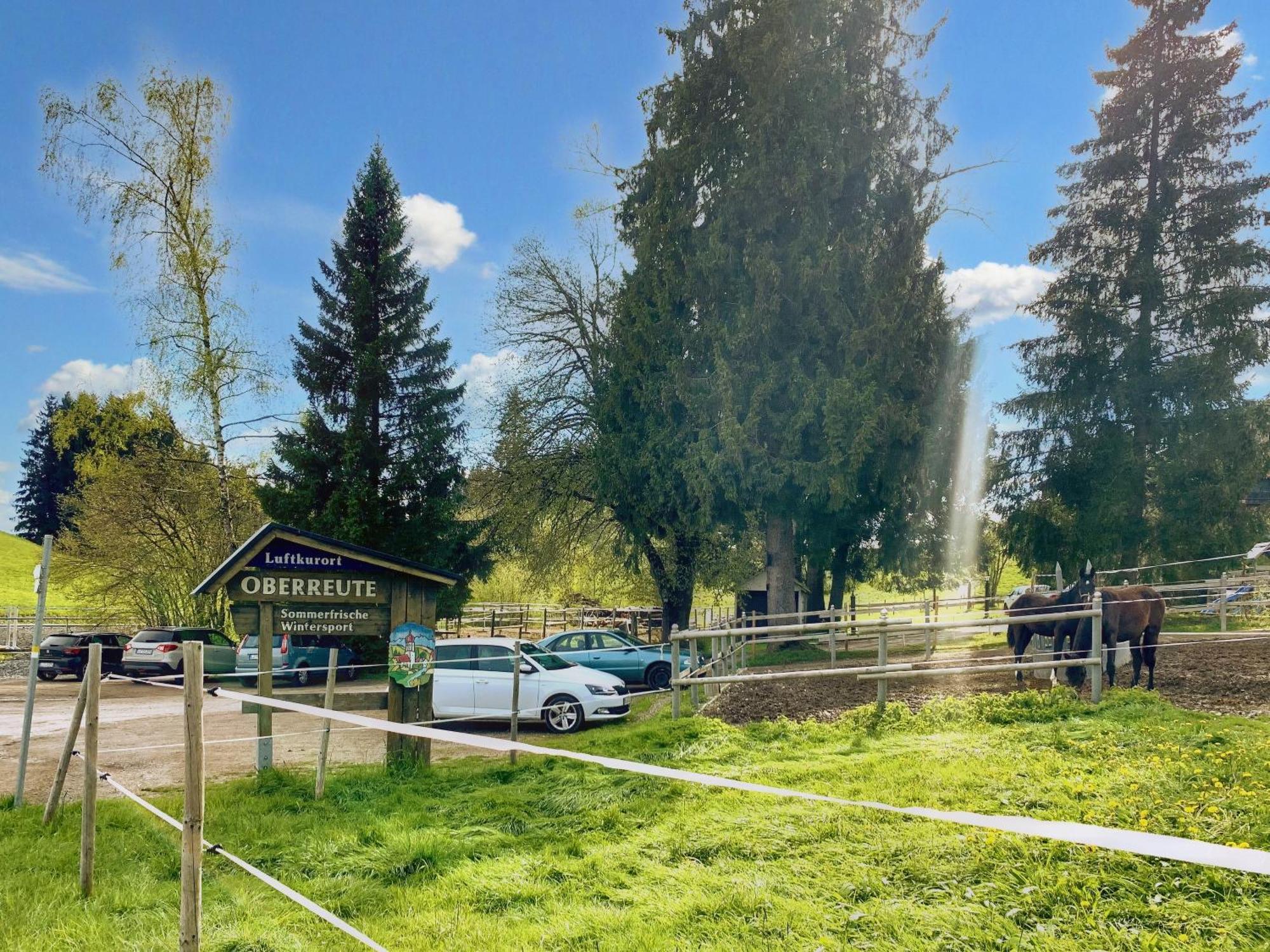 Lindners Hideaways - Bergnest Lodge - Bergblick Fewo 6 Pers Balkon Garten Hund Ski Unterkunft Luftkurort Oberreute Naehe Buchenegger Wasserfaelle Eistobel Bodensee Extérieur photo