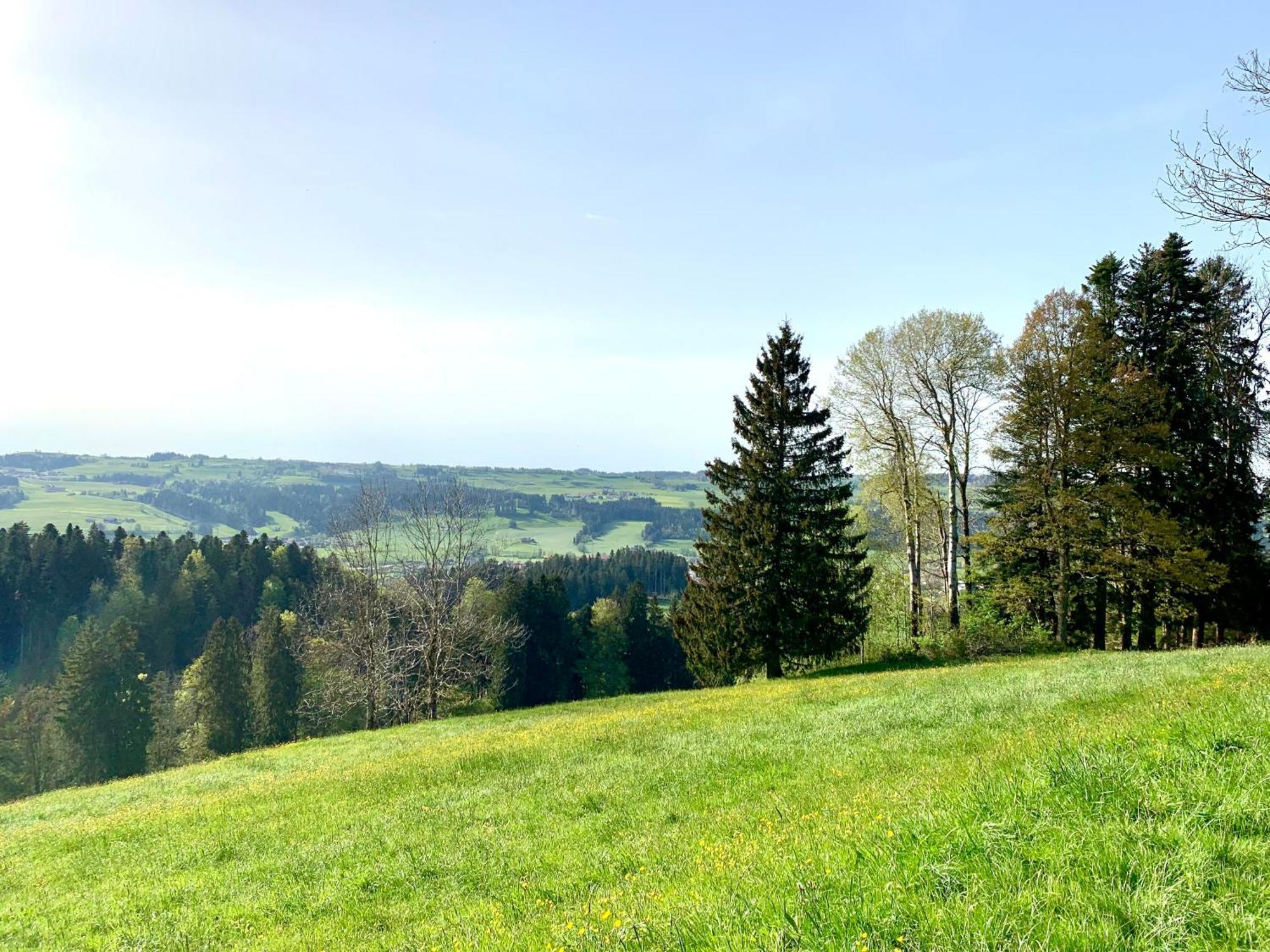 Lindners Hideaways - Bergnest Lodge - Bergblick Fewo 6 Pers Balkon Garten Hund Ski Unterkunft Luftkurort Oberreute Naehe Buchenegger Wasserfaelle Eistobel Bodensee Extérieur photo